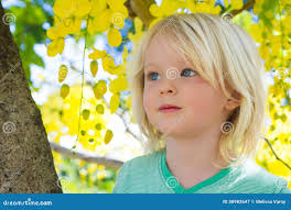 3,611 Fever Flowers Stock Photos