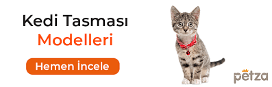 Kedi Evleri Kedi Yatagi Modelleri Ve Fiyatlari Petza