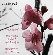 Pin By Amandeep On ਆਬਸ ਰ ਏ ਪ ਜ ਬ Punjabi Quotes Life Quotes Flowers