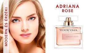 Armani Rose's Instagram, Twitter & Facebook