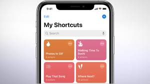 Check Out This Massive Collection Of Custom Siri Shortcuts For Ios 13 Pet Remedies Shortcut Digital Organization