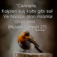 Kalbidualar Sevdigin Bir Kisiyi Etiketle Siir Edebiyat Hayat Insan Guven Sevgi Saygi Asklayasa Kit Guzel Soz Dualar Manevi