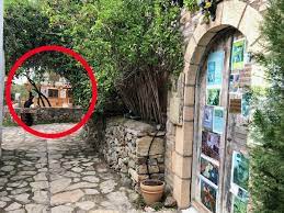 We did not find results for: Yilmaz Aslanturk On Twitter Eski Datca Da Can Yucel In Evinin Bulundugu Sokaga Bir Otel Kafe Yapildi Her Yere Kafe Restoran Pub Aciliyor Ama Bu Sokakta Olmamaliydi Ufacik Sokak Korunmaliydi Can Baba Bu Kadarcik Saygiyi