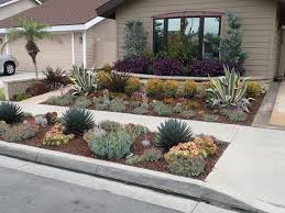 Drought tolerant southern california landscape ideas. Drought Tolerant Landscaping Orange County Ca Drought Resistant Plants Native Grass Irrigation