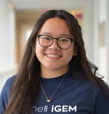 iGEM at Cornell