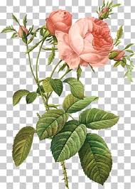 Browse our great selection of rumble roses music. Rumble Roses Lori Loud Art Png Clipart Area Art Artwork Cartoon Comics Free Png Download