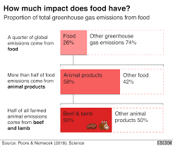 Plant Based Diet Can Fight Climate Change Un Bbc News
