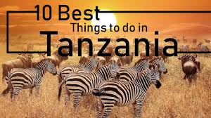 This, however, has not benefited all sectors of society and. Things To Do And Places To Visit In Tanzania Must See Attractions Youtube