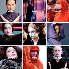 The Queen S Handmaidens Are An Elite Group They Aren T Servants Or Pretty Decorations For The Court They Are Chos Star Wars Memes Star Wars Star Wars Gifts