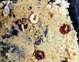 Image result for Stephania abyssinica