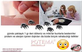 Hijyenik Yatak Temizligi Panosundaki Pin