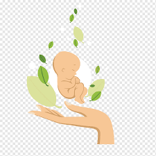 Check spelling or type a new query. Baby And Left Hand Illustration Infant Illustration Newborn Baby Baby Announcement Card Child Leaf Png Pngwing