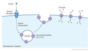 Pharmawiki Insuline