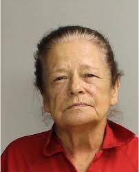 New Jersey woman charged with homicide in crash that killed Lower Merion  firefighter