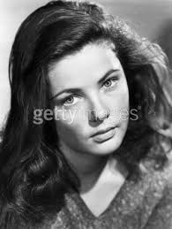 A Longhouse Birdhouse