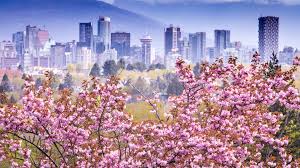 10 zoom travel backgrounds to elevate your next conference call. Vancouver Zoom Backgrounds