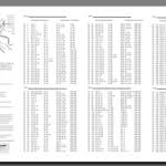 Chart For Reading Catechism Bible In A Year Defenders Of