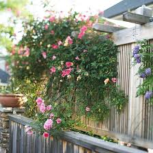 Create Privacy In Your Yard Garden Fence Fence Design Backyard Fences
