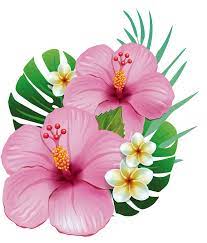 Pin Na Doske Yard My Flower Gardens