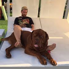 Leo messi is the best player in the world. 6 Places Where Lionel Messi Loves To Spend His Holidays The Most