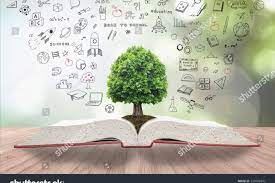 We did not find results for: Conocimiento Del Medio Videos Didacticos Para Estudiarlo