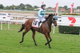 Jack Hill outed for causing race fall which injured Jake Noonan