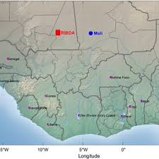 Image result for Andropogon perligulatus