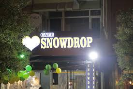 Galanthus (from ancient greek γάλα, + ἄνθος ), or snowdrop, is a small genus of approximately 20 species of bulbous perennial herbaceous plants in the family amaryllidaceae. Snowdrop Cafe Home Facebook