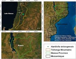 Image result for Hartliella