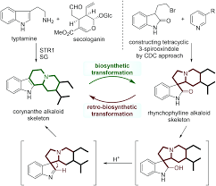 Image result for Corynanthe