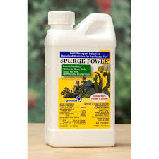 Use precautions avoid drift of spray mist to vegetables, flowers, ornamental plants, shrubs, trees and other desirable plants. Bfg2 Mlgnlg5600 Pit Spurge Power Oxalis Clover Dandelion Walmart Com Walmart Com