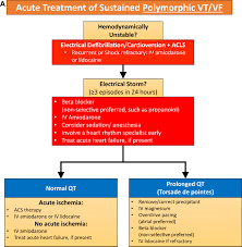 Image result for Ventricular Fibrillation Management in the Adult