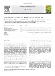 Image result for Uapaca robynsii