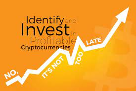 More people worldwide use it, so it makes sense to invest as soon as you can. How To Identify And Invest In Profitable Cryptocurrencies No It S Not Too Late