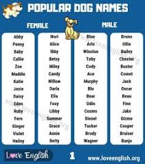 The amount of female dog names is endless. 180 I Love Names Ideas In 2021 Names Baby Names Baby Girl Names