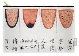 Chinese Tongue Diagnosis Chart 1341 Carry All Pouch