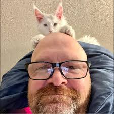 Whoa, Harbaugh fired… man… well, he'll be hired in 2 seconds, wow