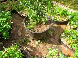 Giveaway Introduction To Permaculture Book Permaculture Gardening Permaculture Design Permaculture