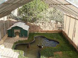 North End Of Duck Pen Backyard Farming Duck House Plans Chickens Backyard