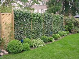 Bevor sie einen sichtschutz im garten aufbauen, sollte sie entscheiden, an welchen stellen er wirklich notwendig ist. Sichtschutz Im Garten Diy Academy