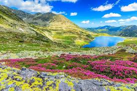 Romania In 20 De Poze Impresionante Avem O Tara Frumoasa Eastern European Cities National Parks Mountain Lakes