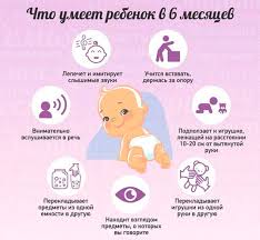 Razvitie Rebenka V 6 Mesyacev Chto Dolzhen Umet Ves I Rost 3 Video Ot Professionalov