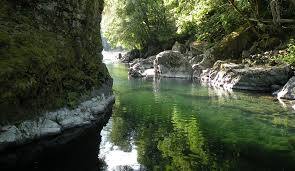 During the period around world war i, a shipping boom was underway and clatsop county was buzzing with logging camps, railroads, and lumber mills. Introducing The Oregon Forest Conservation Coalition Oregon Forest Conservation Coalition