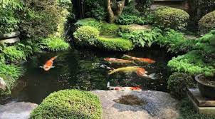 Selain itu, kolam ikan minimalis juga cocok jika dibangun pada rumah yang memiliki model dan desain minimalis. 17 Inspirasi Kolam Ikan Depan Rumah Mau Kolam Minimalis Atau Desain Jepang Skanaa