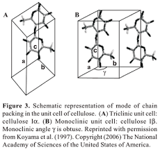 Maybe you would like to learn more about one of these? Scielo Brasil Structure Organization And Functions Of Cellulose Synthase Complexes In Higher Plants Structure Organization And Functions Of Cellulose Synthase Complexes In Higher Plants