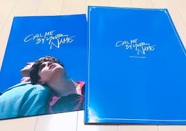 朝から頑張った甲斐あって 日本だけの限定2000個パンフレット手に入れた callmebyyourname timotheechalamet 君の名前で僕を呼んで 映画 パンフレット armiehammer name calling names book cover