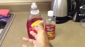 Click on the beacons below to learn more about the most common household bugs found in the kitchen, bathroom, living room and other areas of the home. Get Rid Of Fruit Flies And Gnats And All Small Flying Bugs Watch Now Youtube