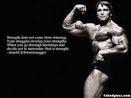 Arnold Schwarzenegger Motivation Google Search Arnold Schwarzenegger Quotes Arnold Schwarzenegger Schwarzenegger