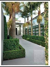 nz formal garden design with boxed hedging with nikau landscape design hedges landscaping tropical garden design
