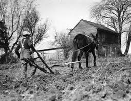 In south carolina a similar project was planned. How Far Have We Come Electrifying Fortnightly